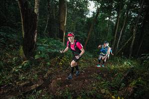 BIB: 
                            <button type="button" onclick="openModal(22426094)" class="btn btn-primary btn-sm float-right btn-popup" data-toggle="modal" data-target=".modal-high-quality">
                        <i class="fas fa-shopping-cart"></i> Add to Cart
                    </button>
                                            <button type="button" onclick="isThisMe(22426094, true)" class="btn btn-success btn-sm float-right btn-popup btn-isme hidden" data-toggle="tooltip" data-placement="bottom" title="นี่คือรูปของคุณใช่ไหม คลิกที่นี่เพื่อเอาเข้าอัลบั้ม">
                        <i class="fas fa-plus"></i> Add to album
                    </button>
                    <button type="button" onclick="isThisMe(22426094, false)" class="btn btn-warning btn-sm float-right btn-popup btn-isnotme hidden">
                        <i class="fas fa-ban"></i> Remove from album
                    </button>